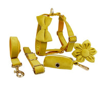HKM-729619 Soft Velvet Dog Collar with Matching Accessories - Adjustable Sizes XS to XL