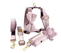HKM-729619 Soft Velvet Dog Collar with Matching Accessories - Adjustable Sizes XS to XL