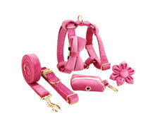 HKM-729619 Soft Velvet Dog Collar with Matching Accessories - Adjustable Sizes XS to XL
