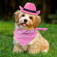 HKM-000019 Cat Cowboy Hat and Bandana Set for Pets - Funny Western Costume for Cats and Kittens - Ideal for Halloween and Themed Parties