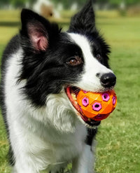 HKM-672467 Durable Rugby-Shaped Dog Toy for Large Breeds - Natural Rubber Molar Chew with Sound Effects