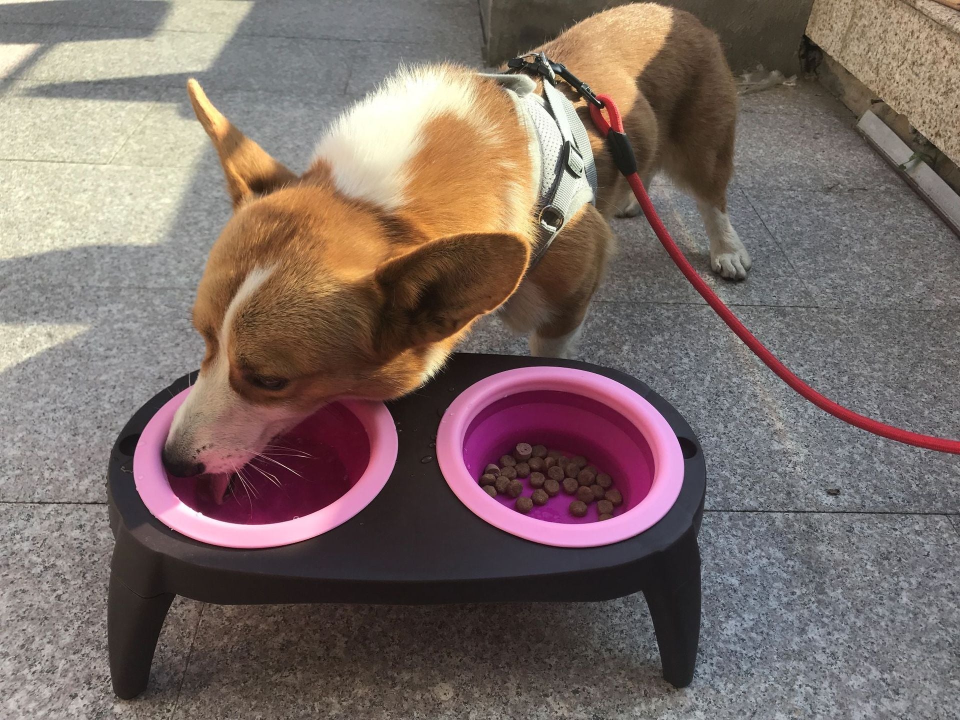 HKM-452947 Folding Double Pet Bowl with PP and TPR Material for Convenient Feeding