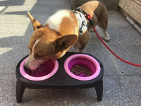 HKM-452947 Folding Double Pet Bowl with PP and TPR Material for Convenient Feeding