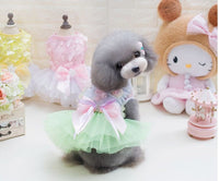 HKM-346323 Cute Cotton Lace Dog Tutu Dress for Spring-Summer Wear, Available in Multiple Sizes