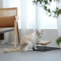 HKM-843219 Tilted Ceramic Dog Food and Water Bowl Set with Bamboo Stand for Small Pets