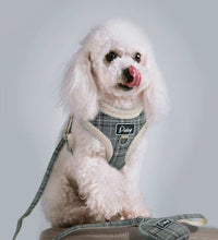 HKM-071955 Adjustable Dog Leash for Small and Medium Breeds ¨C Available in Blue, Gray, Pink