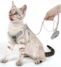 HKM-071955 Adjustable Dog Leash for Small and Medium Breeds ¨C Available in Blue, Gray, Pink
