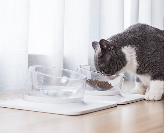 HKM-882387 Anti-Spill Single Bowl Pet Feeder with Inclined Mouth - 440ML Water Bowl & 400ML Food Bowl, Durable ABS and PC Material for Cats and Dogs