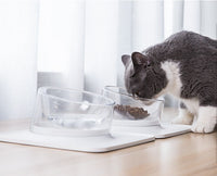 HKM-882387 Anti-Spill Single Bowl Pet Feeder with Inclined Mouth - 440ML Water Bowl & 400ML Food Bowl, Durable ABS and PC Material for Cats and Dogs