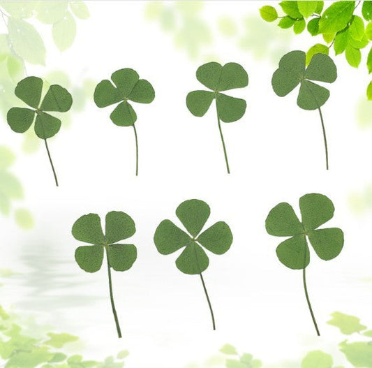 HKM-907731 Dried Four-Leaf Clover Epoxy Leaves for Handmade Jewelry (10 Pcs)