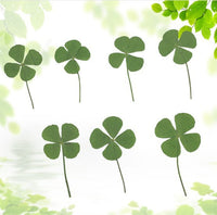 HKM-907731 Dried Four-Leaf Clover Epoxy Leaves for Handmade Jewelry (10 Pcs)