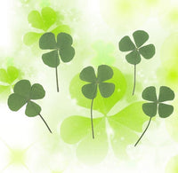 HKM-907731 Dried Four-Leaf Clover Epoxy Leaves for Handmade Jewelry (10 Pcs)