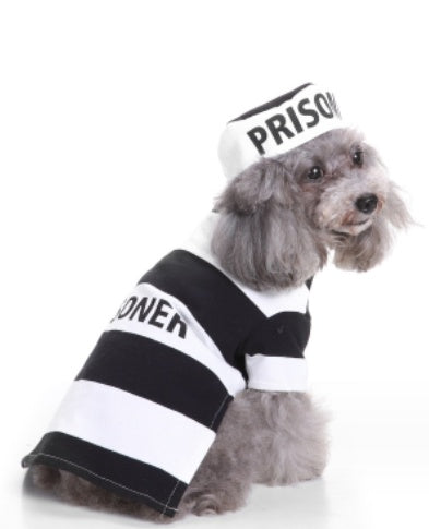 HKM-011219 Festive Knitted Pet Sweater with Hat - Casual Polyester Cotton in Multiple Sizes