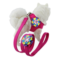 HKM-438163 Velvet Flower Print Pet Chest Harness with Matching Traction Leash