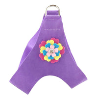 HKM-438163 Velvet Flower Print Pet Chest Harness with Matching Traction Leash