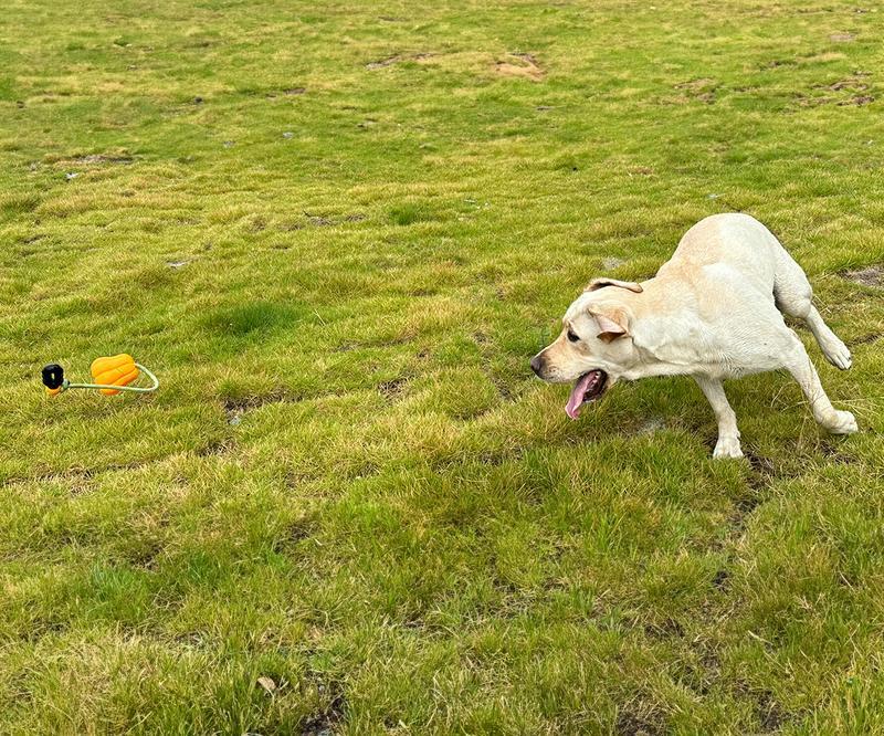 HKM-185235 Durable Pumpkin-Shaped Dog Fetch Toy with Rope for Medium to Large Dogs - Interactive Tug of War and Teeth Cleaning Toy