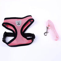 HKM-859539 Comfortable Polyester Pet Chest Strap for Secure Adventures