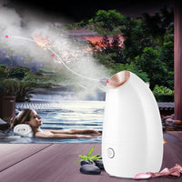 HKM-667411 Face Steamer for Enhanced Skincare Routine with Hot Spray Function