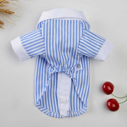 HKM-967251 Couples Spring & Summer Pet Clothing - Sky Blue Shirt & Skirt Set