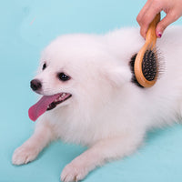 HKM-196307 Double-Sided Stainless Steel Pet Brush for Dogs - Available in Sizes S, M, and L