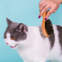HKM-196307 Double-Sided Stainless Steel Pet Brush for Dogs - Available in Sizes S, M, and L