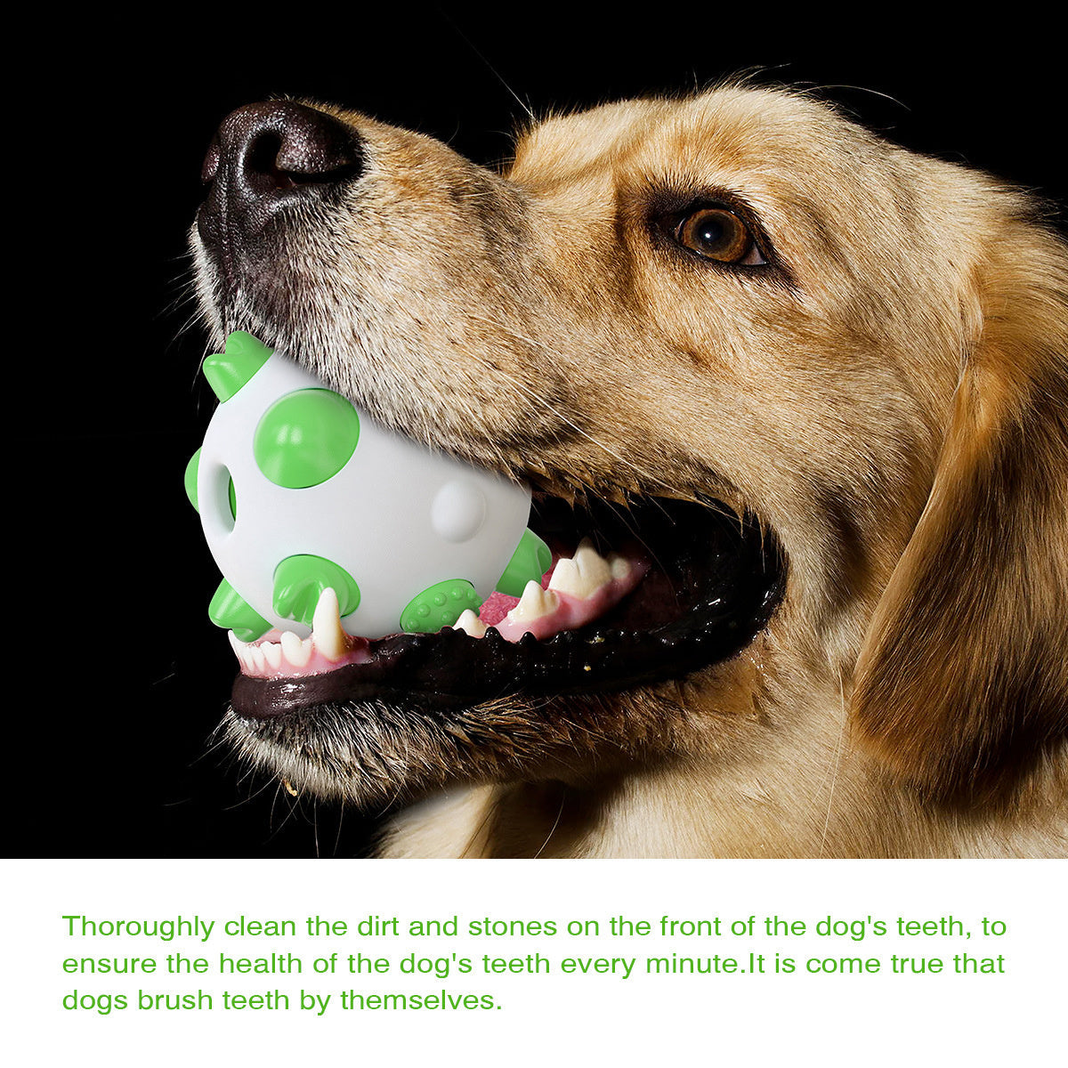 HKM-280083 Spherical Dog Toothbrush Toy for Dental Care and Chewing Fun