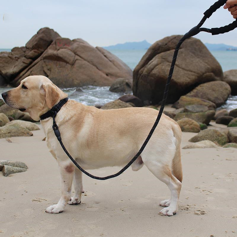 HKM-266259 Retractable Colorful Pet Leash - Explosion-Proof, 1.6m for Small to Large Dogs