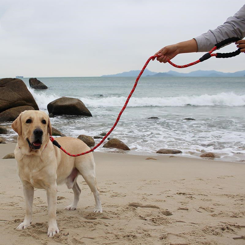 HKM-266259 Retractable Colorful Pet Leash - Explosion-Proof, 1.6m for Small to Large Dogs