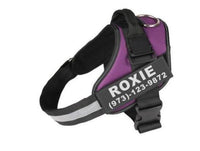 HKM-424659 Personalized No Pull Reflective Breathable Adjustable Dog Harness for Small to Large Dogs