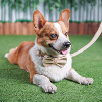 HKM-078867 Nude Velvet Dog Collar with Bow Detail - Casual All-Season Accessory