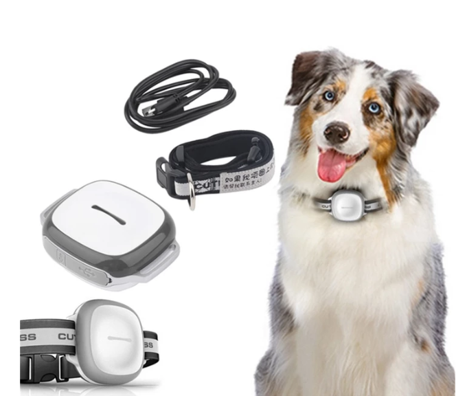 JMT-694346 Collared GPS Pet Locator for Cats and Dogs - Real-Time Tracking Device