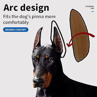 HKM-833363 Dog Ear Support Tool for Upright Ear Correction in Doberman Pinscher, Sheltie, and Corgi Puppies