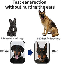 HKM-833363 Dog Ear Support Tool for Upright Ear Correction in Doberman Pinscher, Sheltie, and Corgi Puppies