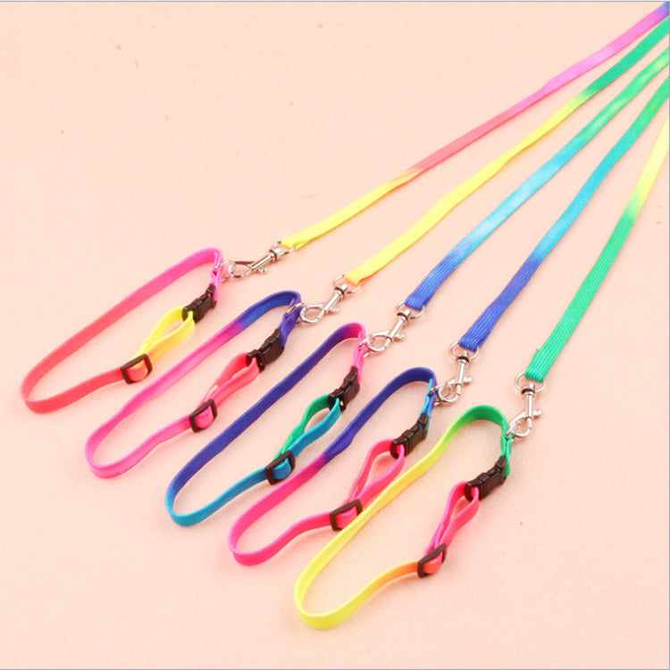 HKM-485587 Rainbow Nylon Cat and Dog Leash with Adjustable Collar for Small Pets - 120cm Length, 20-30cm Neck Size