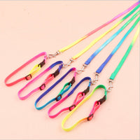 HKM-485587 Rainbow Nylon Cat and Dog Leash with Adjustable Collar for Small Pets - 120cm Length, 20-30cm Neck Size