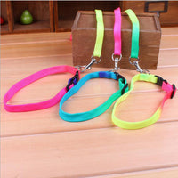HKM-485587 Rainbow Nylon Cat and Dog Leash with Adjustable Collar for Small Pets - 120cm Length, 20-30cm Neck Size
