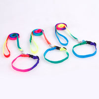 HKM-485587 Rainbow Nylon Cat and Dog Leash with Adjustable Collar for Small Pets - 120cm Length, 20-30cm Neck Size