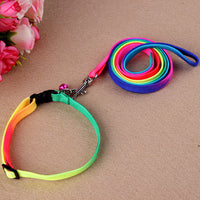 HKM-485587 Rainbow Nylon Cat and Dog Leash with Adjustable Collar for Small Pets - 120cm Length, 20-30cm Neck Size