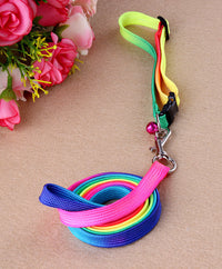 HKM-485587 Rainbow Nylon Cat and Dog Leash with Adjustable Collar for Small Pets - 120cm Length, 20-30cm Neck Size
