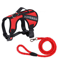 HKM-549971 Red Dog Chest Harness Vest with Traction Rope - Nylon, Available in Various Sizes (XS to XL)