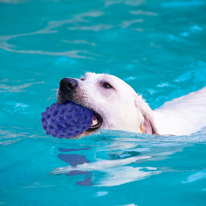 HKM-988627 Natural Rubber Bite-Resistant Pet Toy with Beef Flavor for Dental Care and Vocal Play