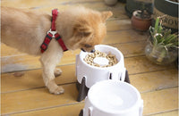 HKM-849619 Adjustable Wet and Dry Pet Bowl - 8x9x13CM Plastic Feeding Dish for All Pets