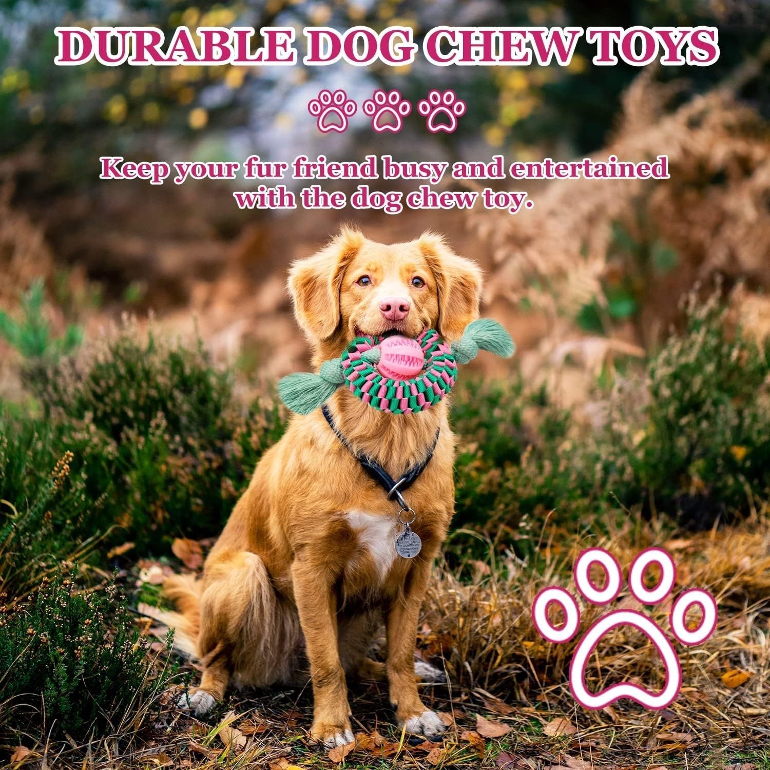 HKM-591123 Durable Interactive Dog Chew Toy for Aggressive Chewers - Made with Natural Rubber for Safe Chewing, Exercise and Teeth Cleaning