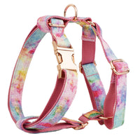 HKM-079379 Bronzing Dog Collar and Leash Set with Bow and Vest ¨C Complete Four-Piece Outfit