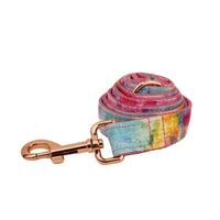 HKM-079379 Bronzing Dog Collar and Leash Set with Bow and Vest ¨C Complete Four-Piece Outfit