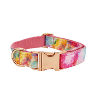 HKM-079379 Bronzing Dog Collar and Leash Set with Bow and Vest ¨C Complete Four-Piece Outfit
