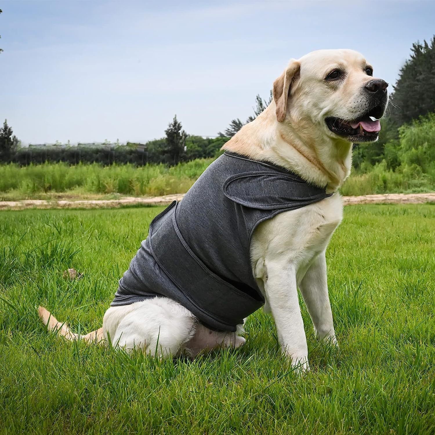 HKM-927571 Breathable Dog Anxiety Jacket Thunder Vest for Stress Relief - Various Sizes Available