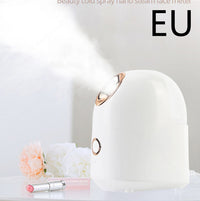HKM-290387 Portable Beauty Steamer with 150ml Water Tank, ABS Material, 20-Minute Spray Time