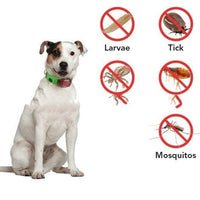 HKM-182931 Flea and Tick Prevention Collar for Dogs – Adjustable Black, Dark Pink, and Green Color Options