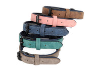 HKM-855763 Eco-Friendly PVC Puppy Dog Collar with Adjustable Leash for Small to Medium Dogs